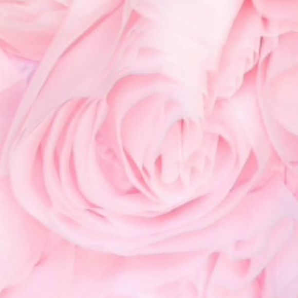 Meet your Posher, Gigi - Picture 1 of 1